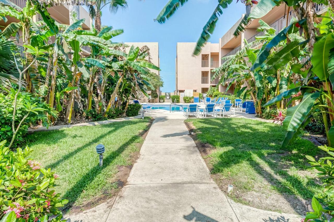 Апартаменты Palm Tree Escape Юг Падре Айленд Экстерьер фото